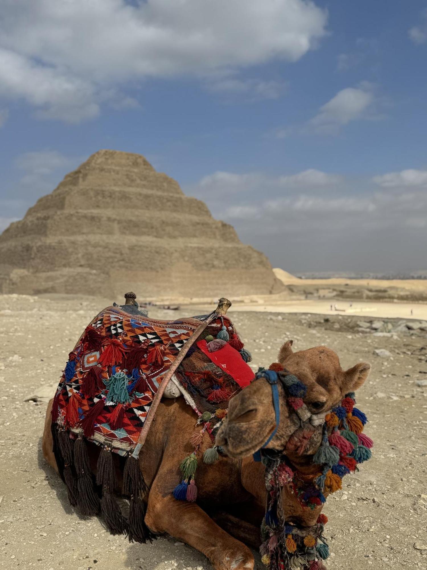 K Boutique Hotel Medspa-Pyramids & Grand Egyptian Museum Ghatati Exteriér fotografie